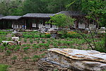回廊 植物园