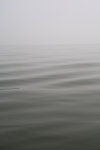 水面