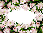 花环