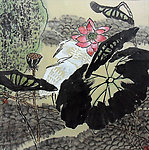 国画 荷花