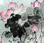国画 荷花