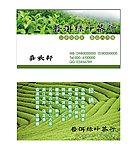 绿叶茶行