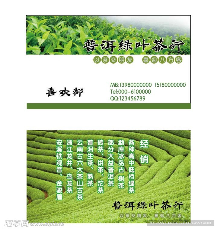 绿叶茶行
