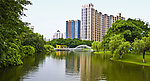 岐江两岸风景