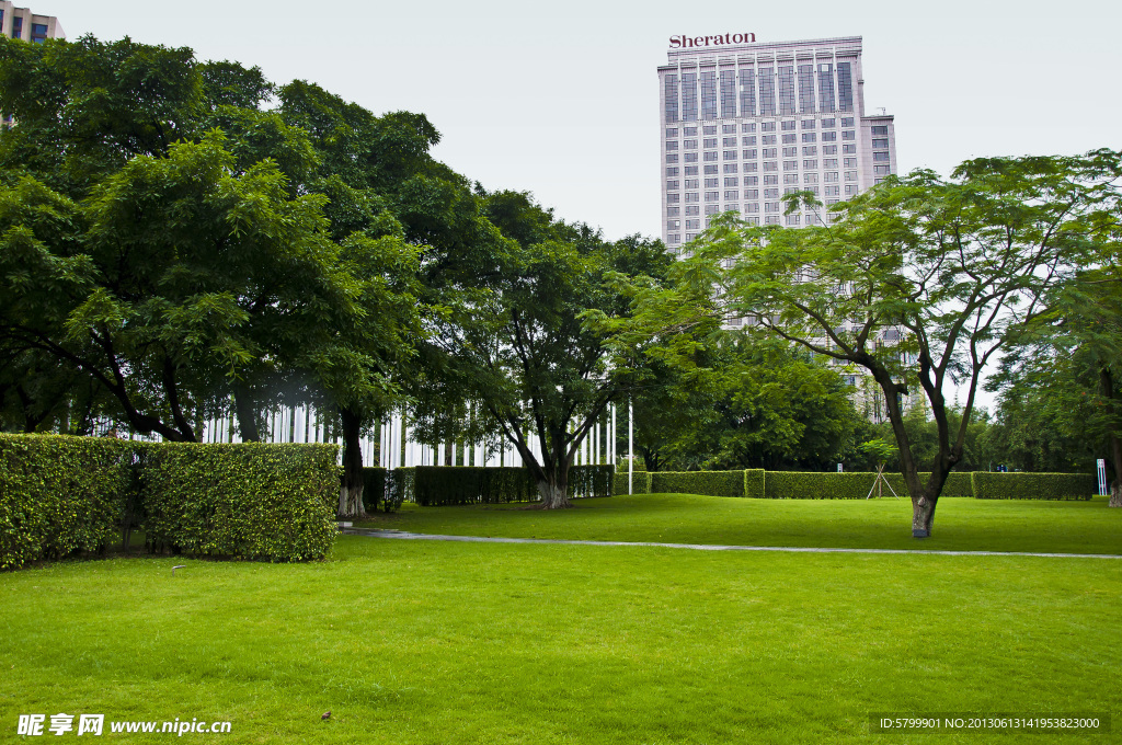 岐江公园草坪