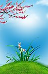 桃花 兰花素材