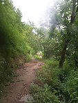 田园风光