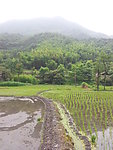 田园风光