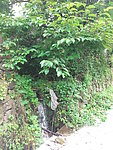 田园风光