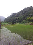 田园风光