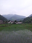 田园风光