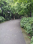 田园风光