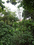 田园风光