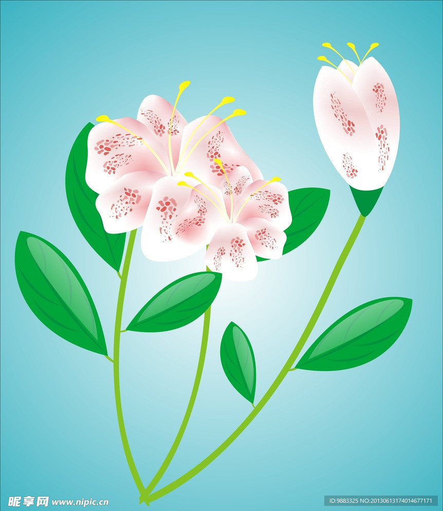 粉色花