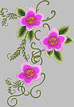 粉色枕花