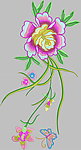 花蝴蝶