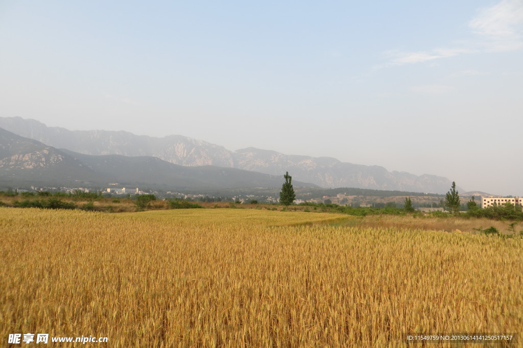 嵩山风景