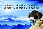 企业展板