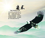 追求展板