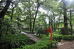 园林 公园