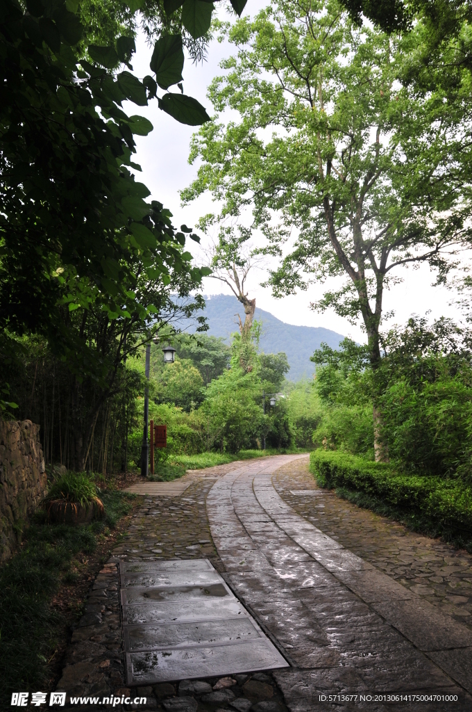 景观道路