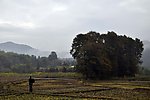 大山景观