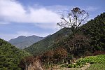 山色