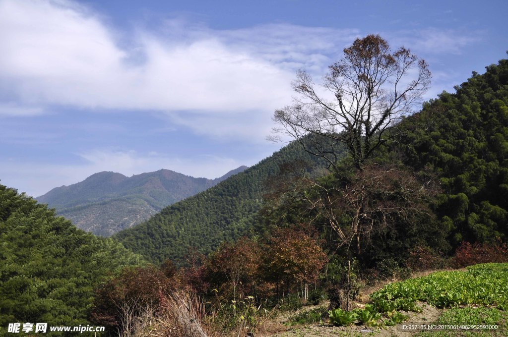 山色