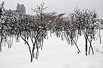 雪景