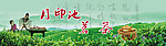 名茶海报