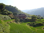 山里人家