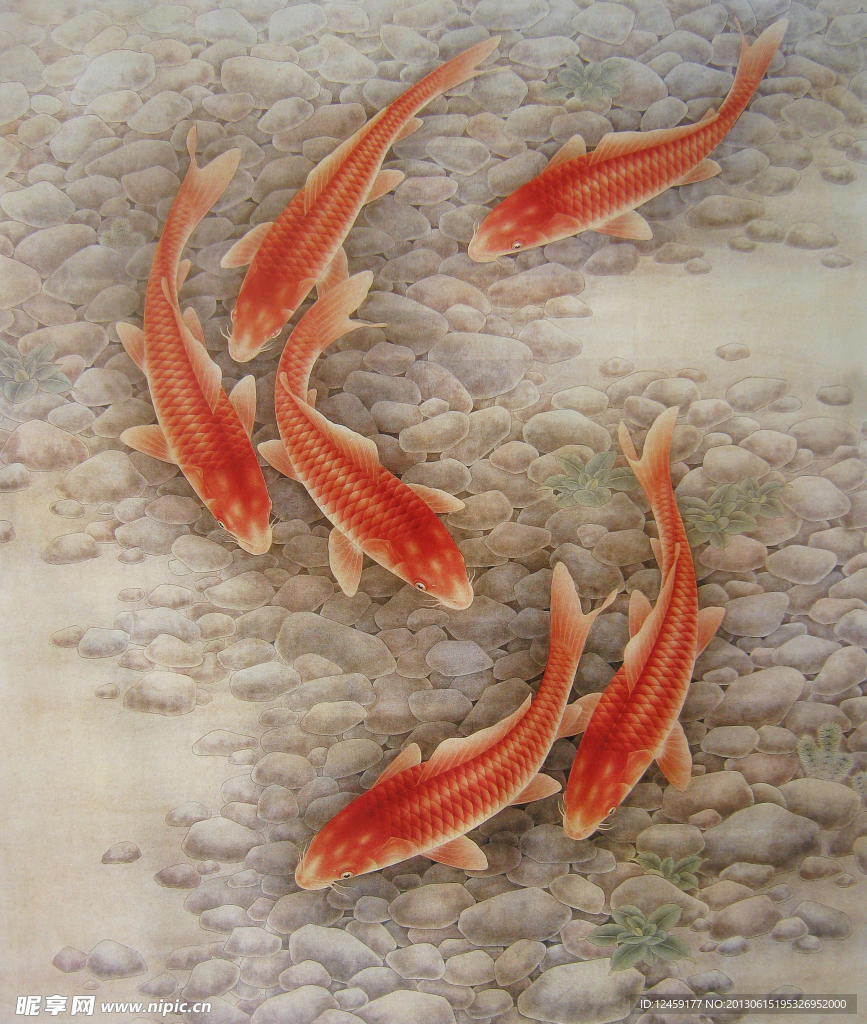 工笔鲤鱼