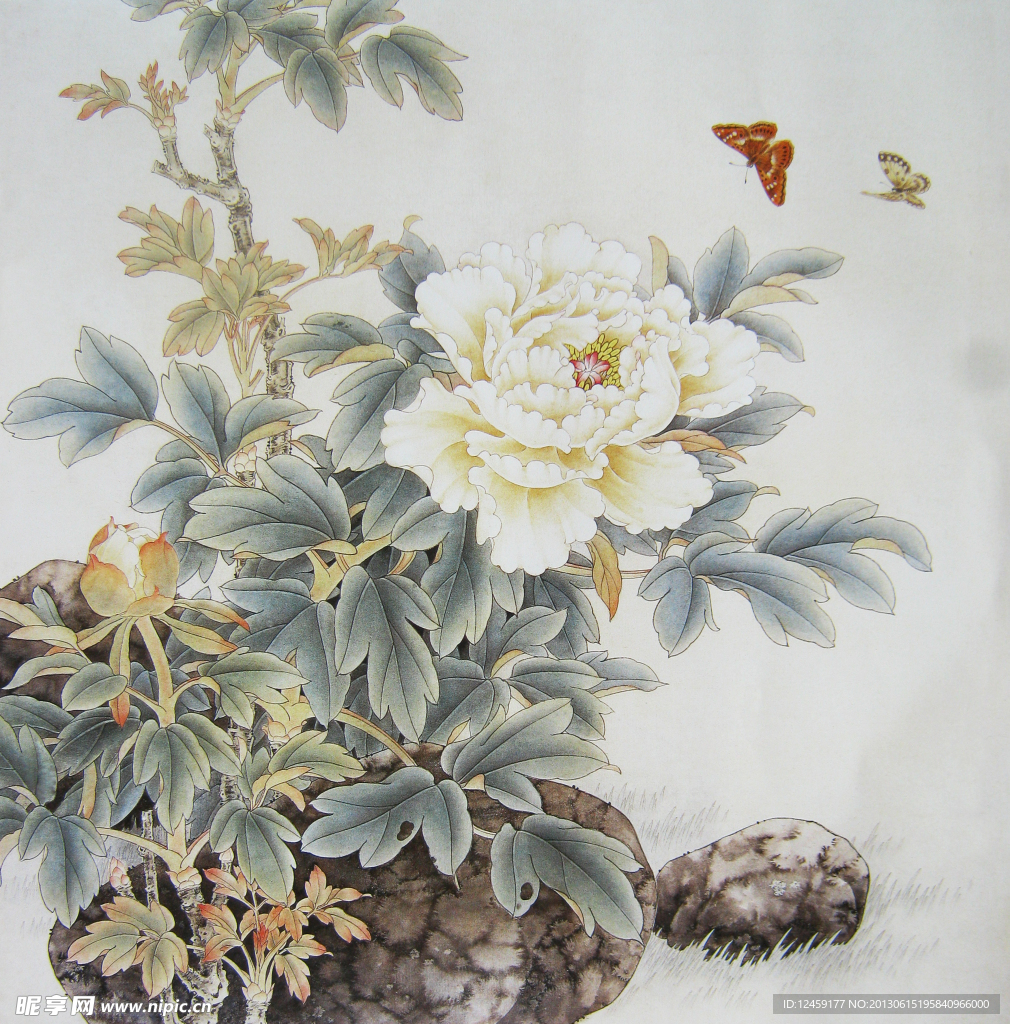 工笔牡丹