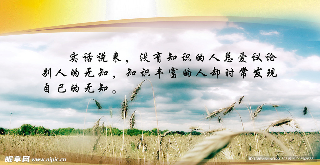 知识宣传展板