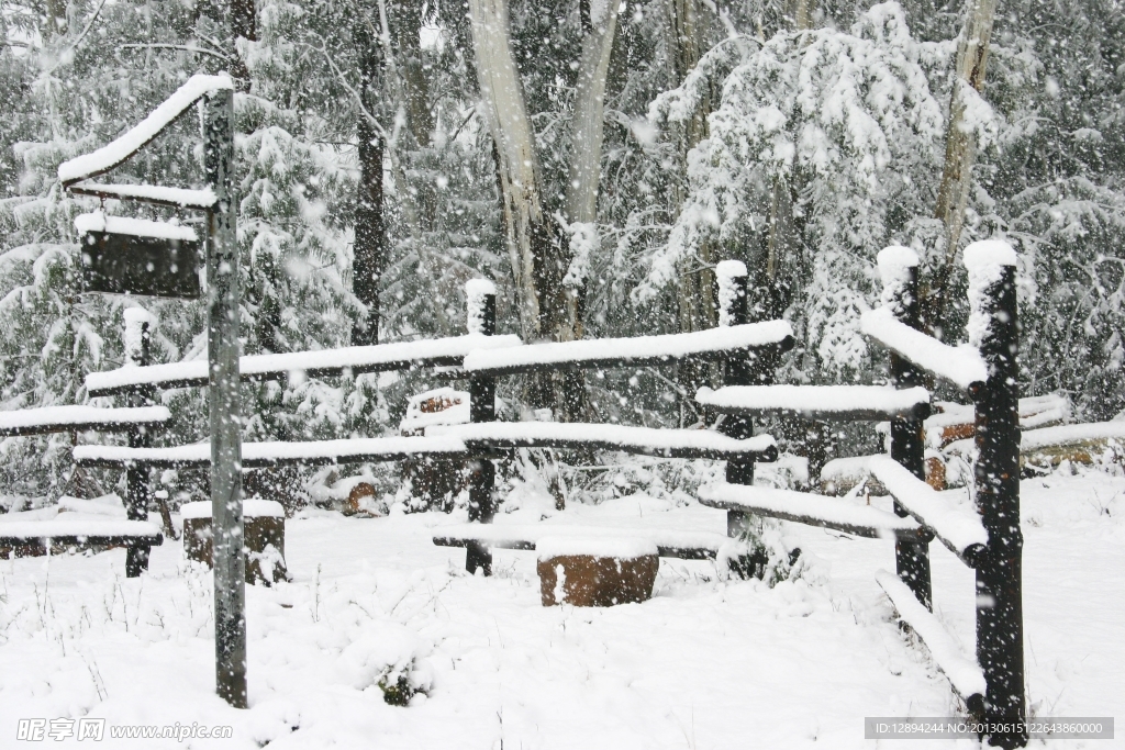 自然景观 漫天雪树