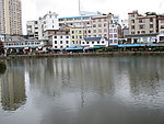 池中倒影