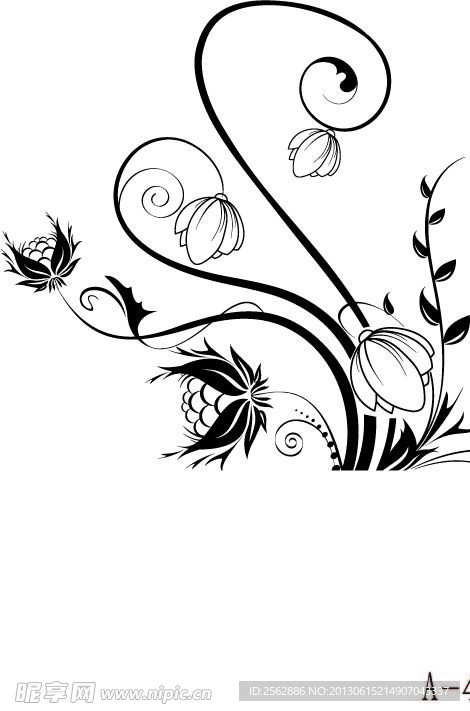 矢量花纹