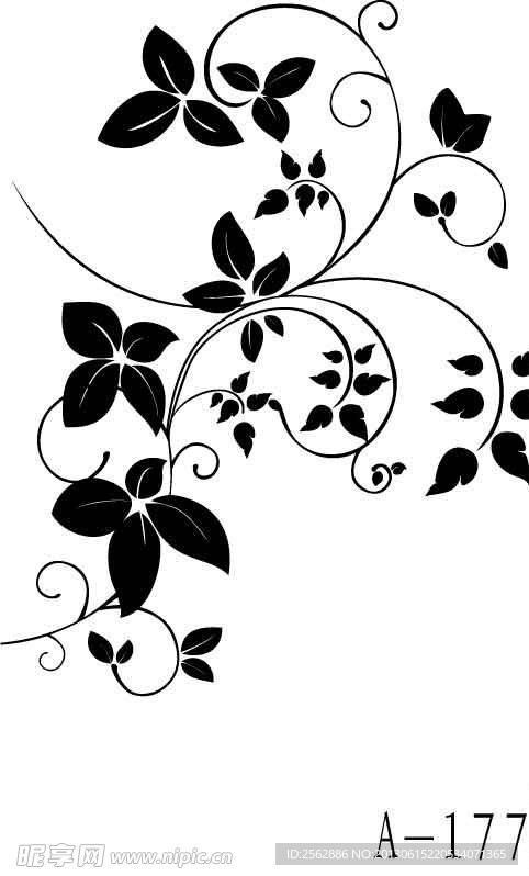 矢量花纹