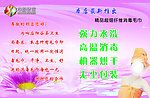 巾粉世家