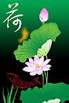 荷花 鲤鱼
