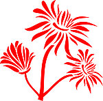 花纹