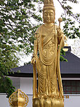 金佛