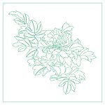 牡丹花