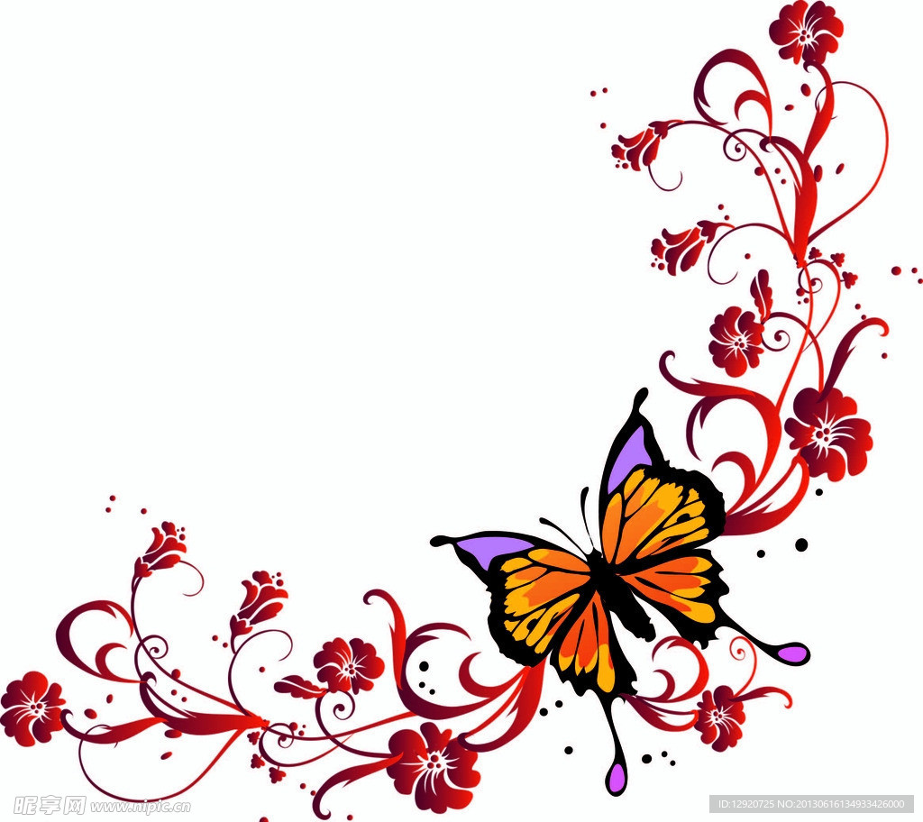 蝴蝶花