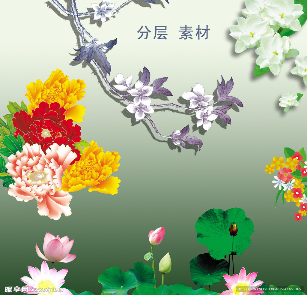 花类 分层素材