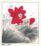 夏荷