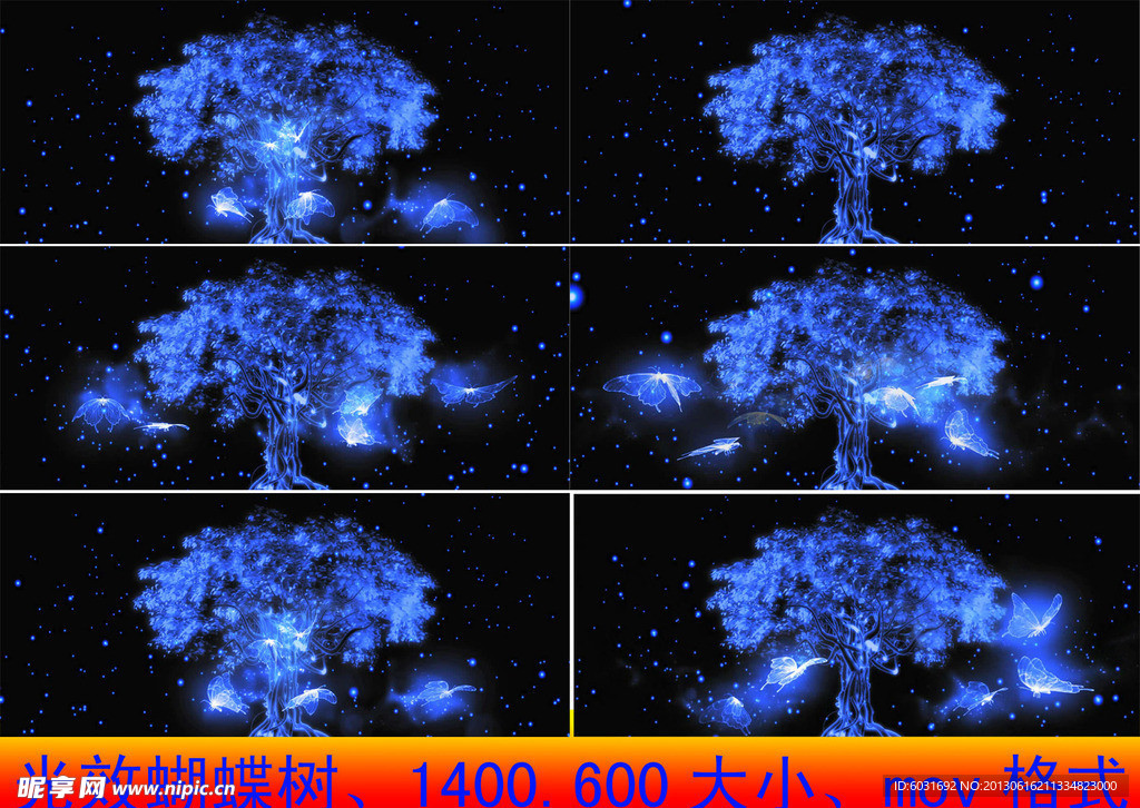 极品光效蝴蝶树视频