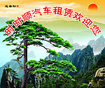 迎客松