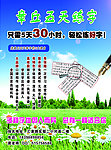 五天练字宣传彩页