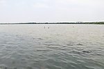 湖面景观